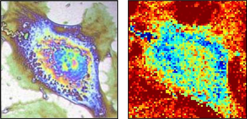 Scientists Give Themselves Predator Vision to View the Inner Workings of Single Cells