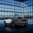 image Mansory-Vivere-Veyron-02.jpg