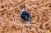 Dyre-rik. Gjennomgang av smartwatch, Huawei Se
