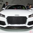 image Audi-TT-Quattro-Concept-6541.jpg