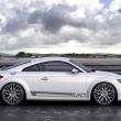 image Audi-TT-quattro-sport-concept-09.jpg