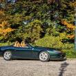 image Ferrari-550-Barchetta-marktplaats-06.jpg