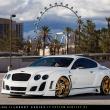image Bentley-Continental-GT-Lexani-wit-05.jpg