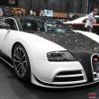 image mansory-veyron-1639.jpg