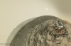 Mars Curiosity Rover Lärt sig en Ny Kamera Trick