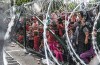 European corps of border guards in the making
