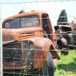 image vintage-car-museum-0585.jpg