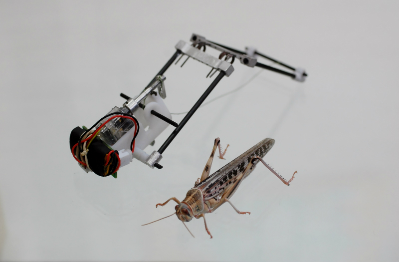 This Locust Robot Jumps 11 Feet High and Could Scour Disaster Zones