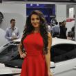 image sema-2015-babes-021.jpg