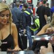 image sema-2015-babes-064.jpg