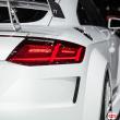 image Audi-TT-Quattro-Concept-6550.jpg
