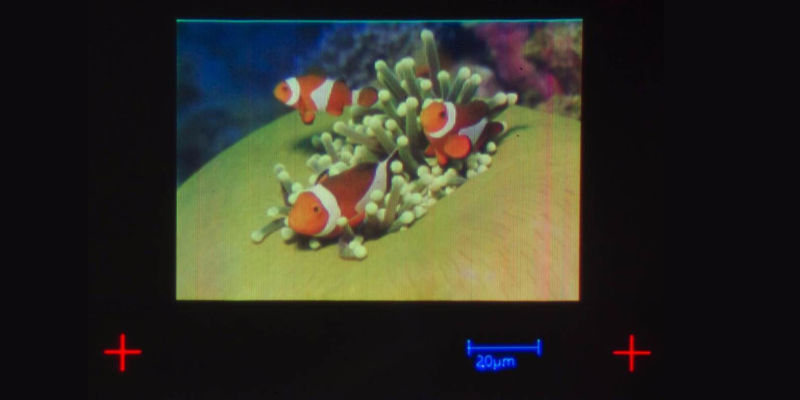 This Inkjet-Printed Picture Is the Size of a Retina Display Pixel