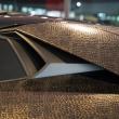 image Forgiato-Snakeventador-003.jpg