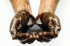 Research: these brands use far too much oil