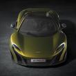 image 675LT_Spider_004.jpg