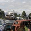 image vintage-car-museum-0628.jpg