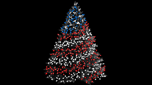The Very American History of Christmas Lights