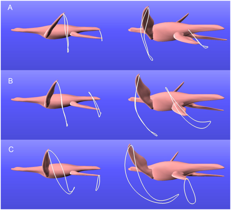 These Ancient Marine Reptiles Swam Through the Water Like Penguins 