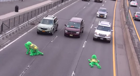 Scheitbeesten, die schildpadden
