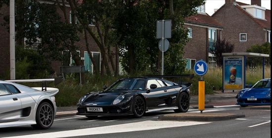 Noble trio gespot