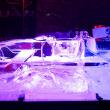 image f-sleigh-00011.jpg