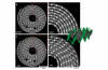 Real-Time 3D Imaging Shows How Disposable Lithium Batteries Degrade