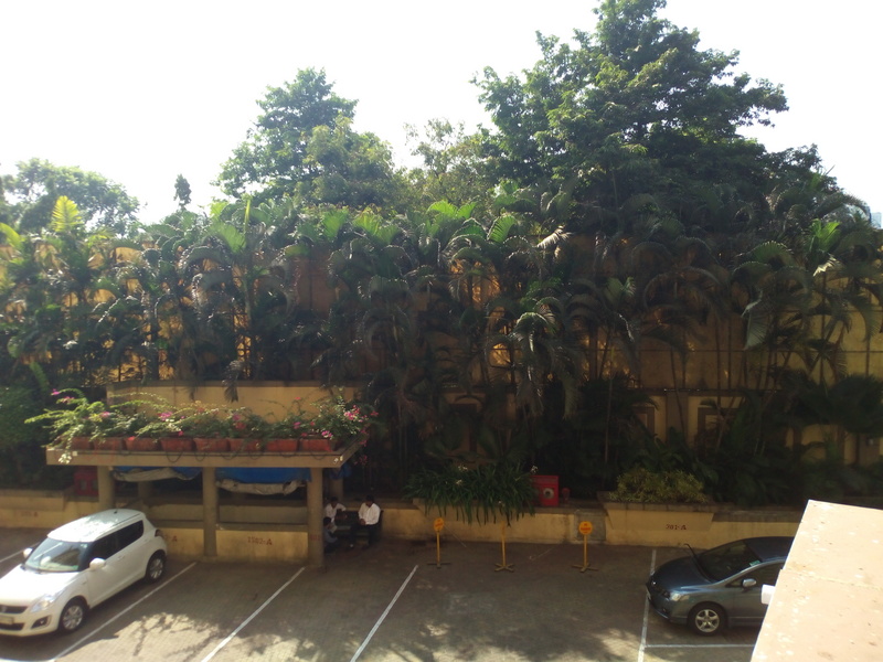 wickedleak_wammy_titan5_camsample_daynew_ndtv.jpg