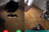 WhatsApp kommer snart att lära dig att ringa videosamtal