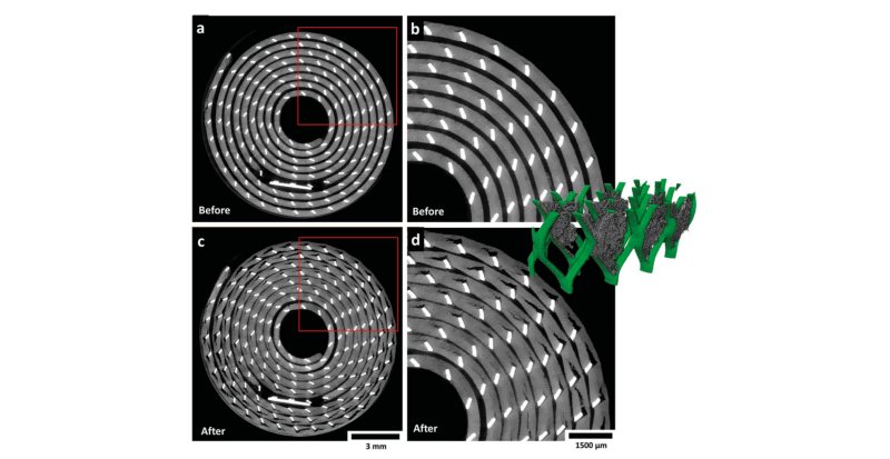 Real-Time 3D Imaging Shows How Disposable Lithium Batteries Degrade