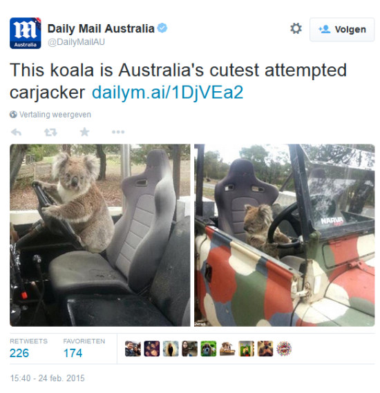Koala-hoolie