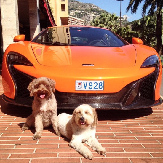 650S