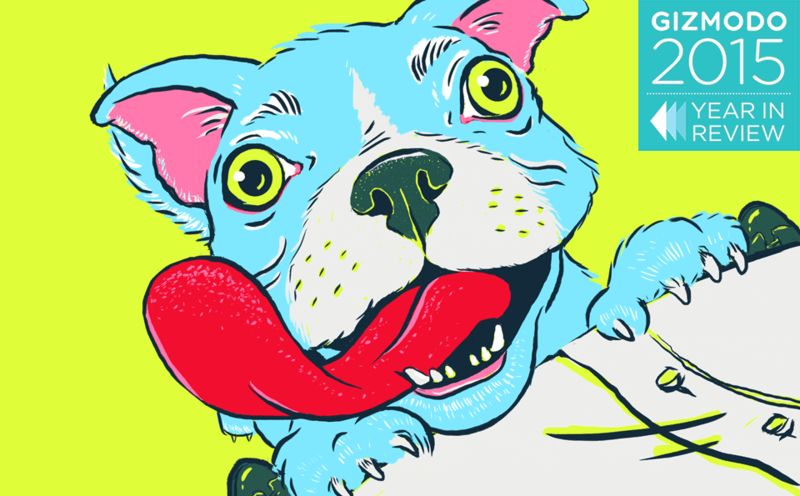 Here Are Our Favorite Gizmodo Stories From 2015
