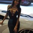 image sema-2015-babes-061.jpg