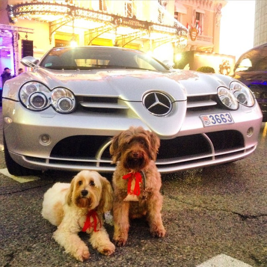 SLR