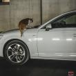 image Audi-A4-Avant-B9-28.jpg