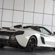 image McLaren-650-S-Spider-Al-Sahara-79-by-MSO-002.jpg