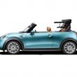 image Mini-Cooper-Cabrio-2016-23.jpg