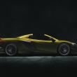 image 675LT_Spider_003.jpg