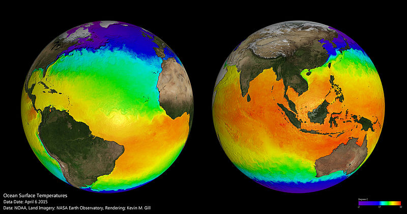 Rising Temperatures Are Driving Hundreds of Species to the North and South Poles