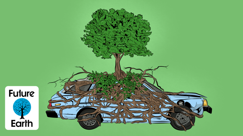 Ban Cars