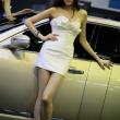 image Babes-Hainan-Auto-Show-034.jpg
