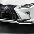image lexus-rs-450h-trd-003.jpg