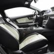 image Ford-Mustang-50-Year-Limited-Edition-2014-007.jpg