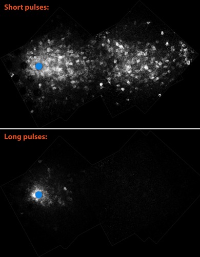 New Research Could Improve Artificial Retinas To Help a Blind Eye See