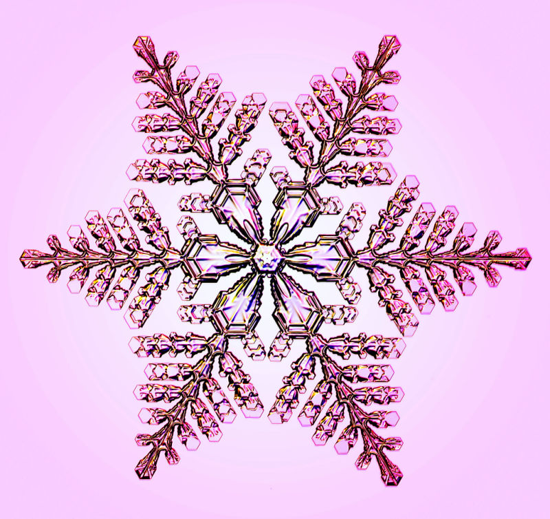 This Physicist's Designer Snowflakes Are Dazzling