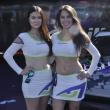 image sema-2015-babes-059.jpg