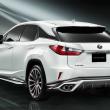 image lexus-rs-450h-trd-002.jpg