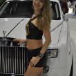 image sema-2015-babes-041.jpg