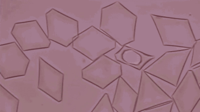 These Freezing Drops of Oil Are Hypnotically Beautiful
