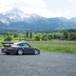 image vossen-vle-1-velgen-0009.jpg